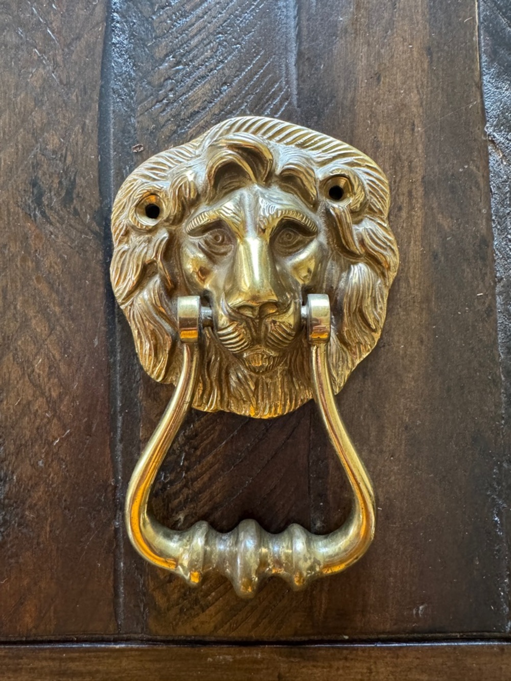 Vintage brass lion head door knocker